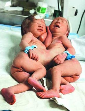http://group.medlive.cn/webres/upload/000/009/393