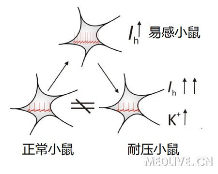 http://group.medlive.cn/webres/upload/000/163/236