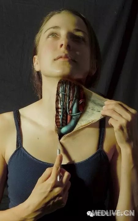 资源叹为观止逼真的人体解剖图